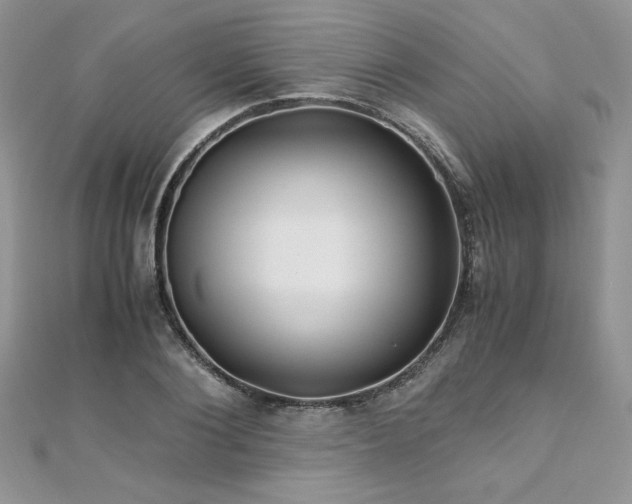 X0000110930884200906181427