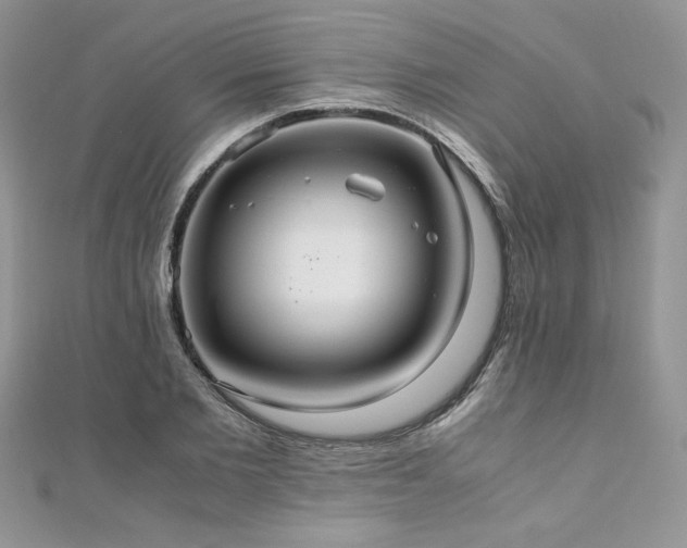 X0000110930885200906181427