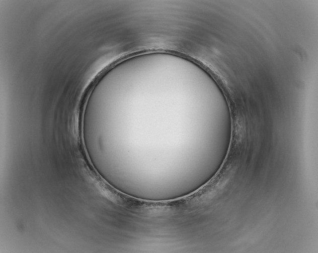 X0000110930886200906181427