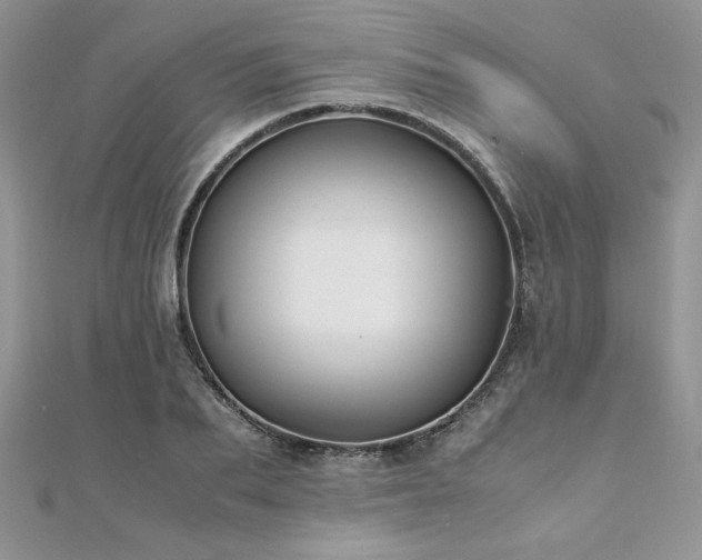 X0000110930887200906181426