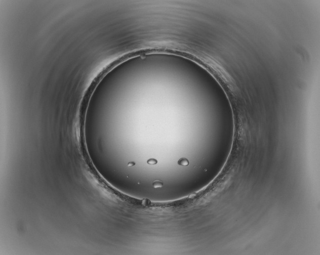 X0000110930888200906181426