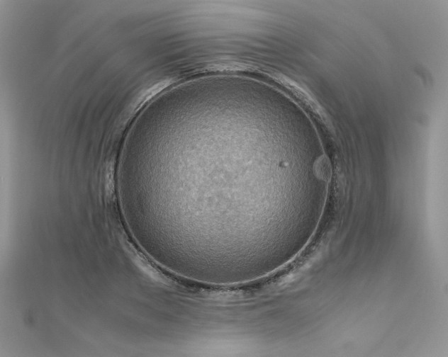 X0000110930889200906181426