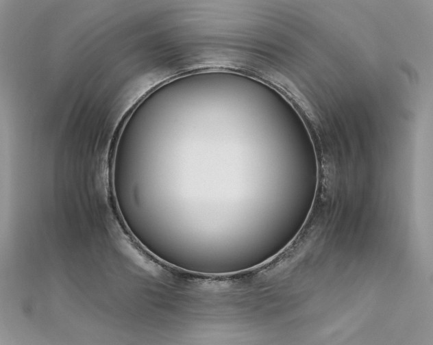 X0000110930890200906181426