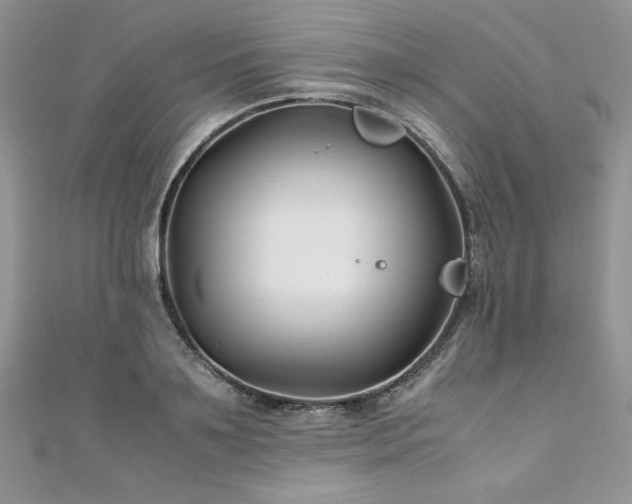 X0000110930891200906181426