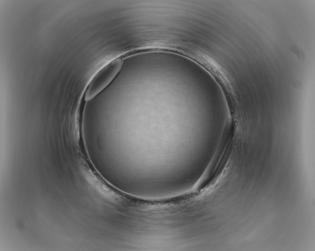 X0000110930892200906181426