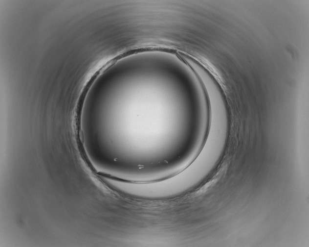 X0000110930893200906181426