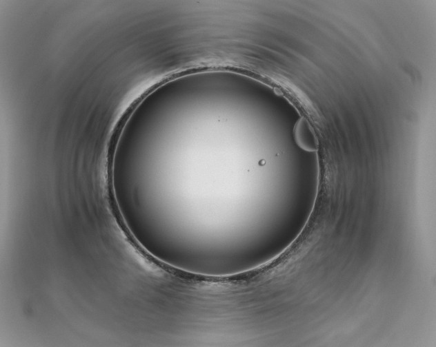 X0000110930894200906181426