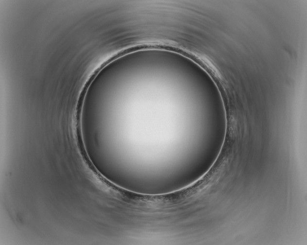 X0000110930895200906181426