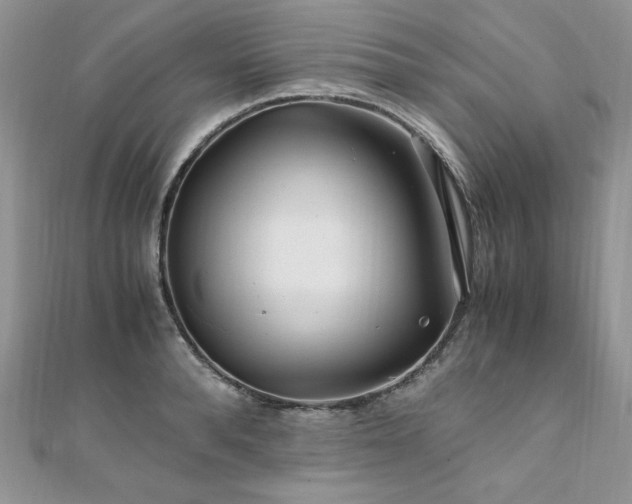 X0000110930896200906181426