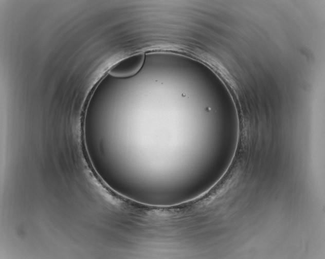 X0000110930898200906181426