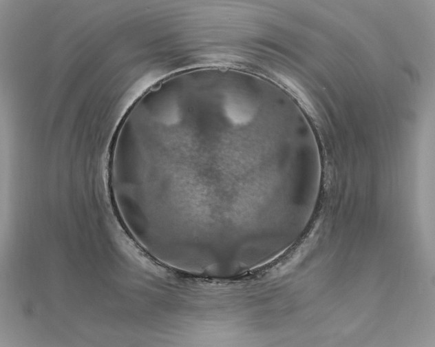 X0000110930899200906181426