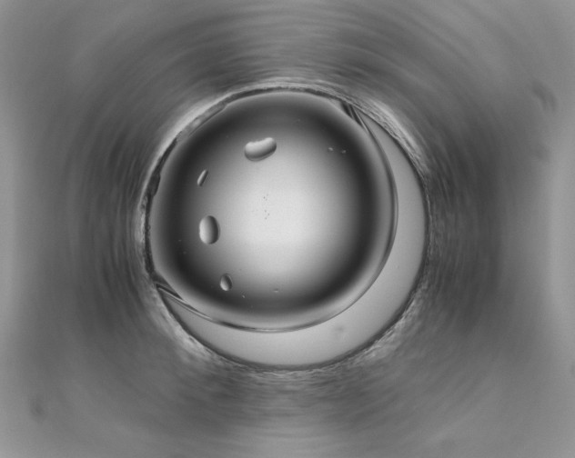 X0000110930900200906181426