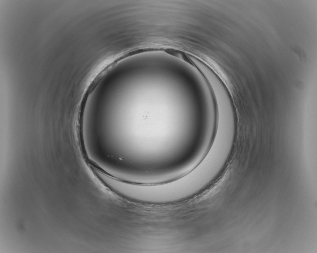 X0000110930901200906181426