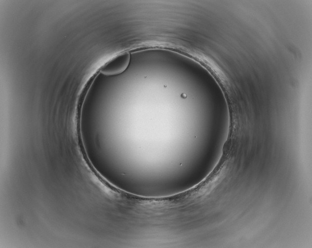 X0000110930902200906181426