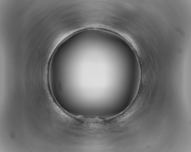 X0000110930903200906181426