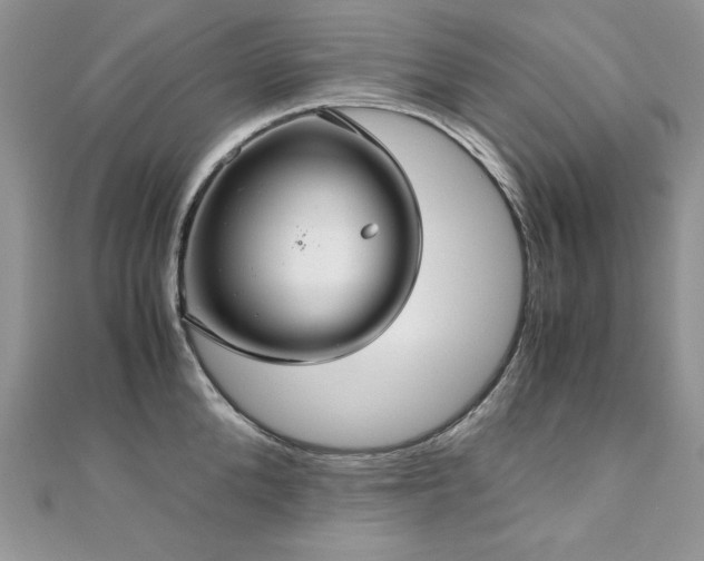 X0000110930904200906181426