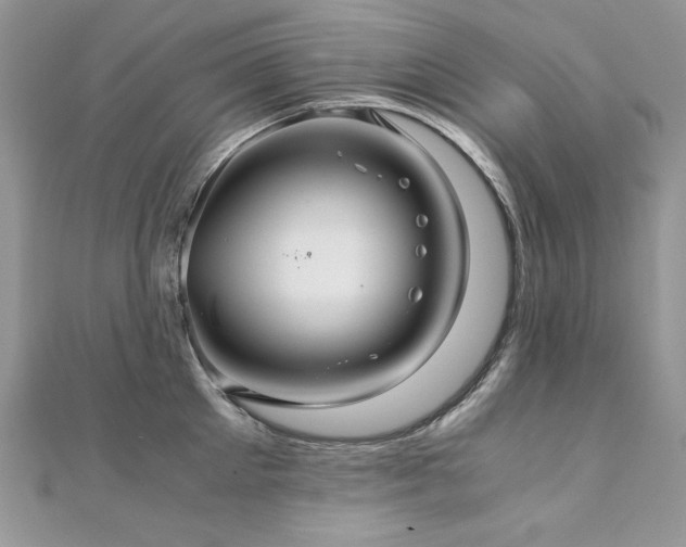 X0000110930905200906181426