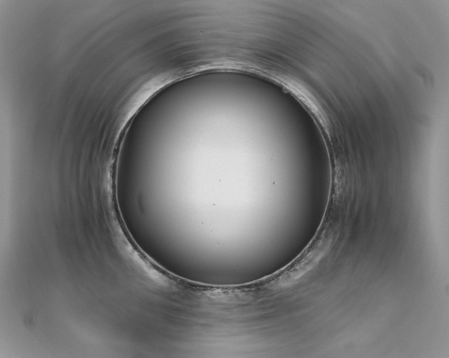 X0000110930906200906181426