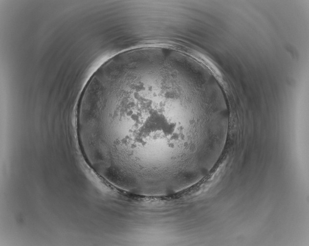 X0000110930907200906181426