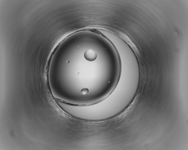 X0000110930908200906181426