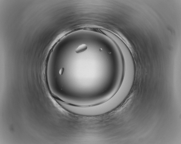 X0000110930909200906181426