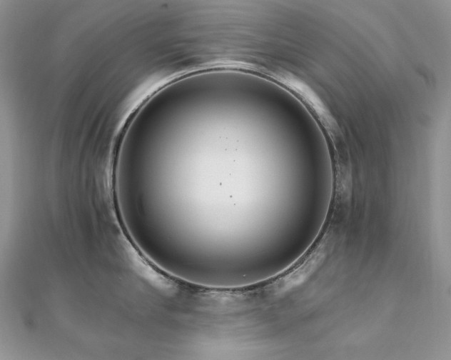 X0000110930910200906181426