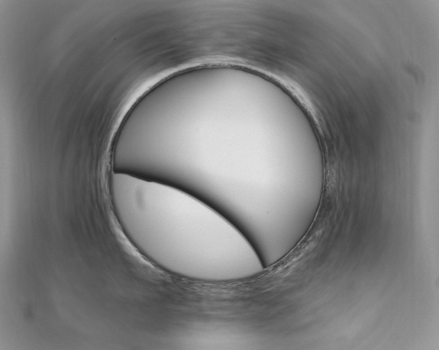 X0000110930911200906181426