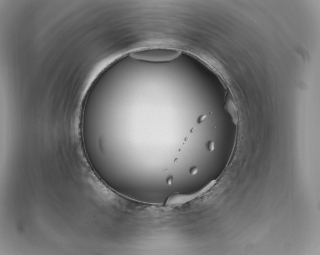 X0000110930912200906181426