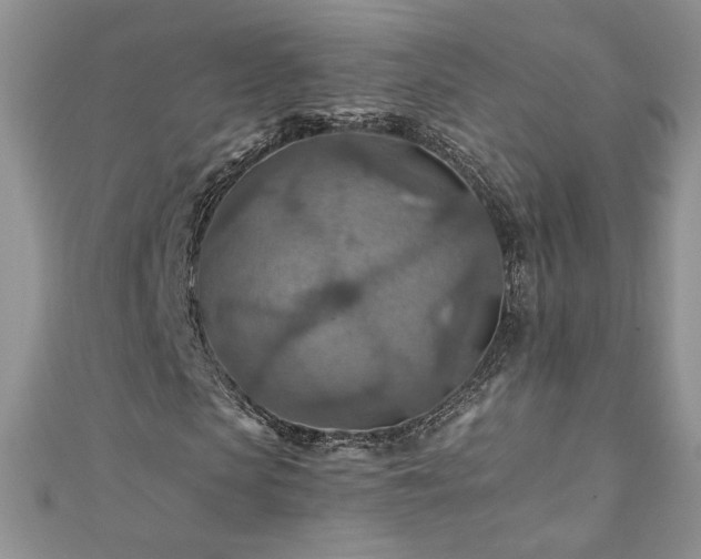 X0000110930913200906181426