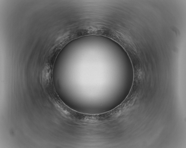 X0000110930914200906181426