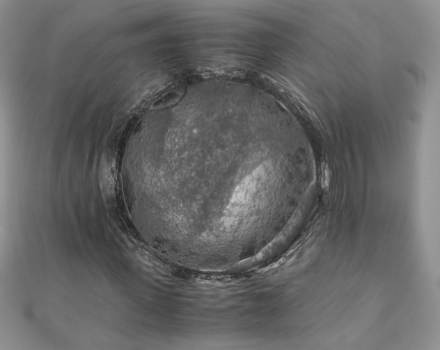 X0000110930915200906181426