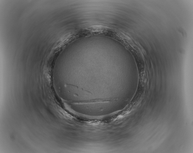 X0000110930916200906181426