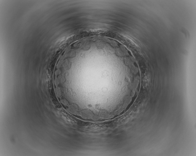 X0000110930917200906181426