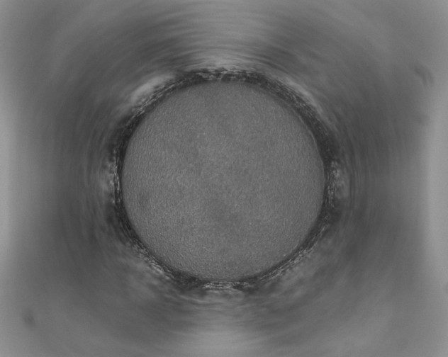 X0000110930918200906181426