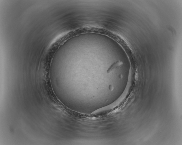 X0000110930919200906181426