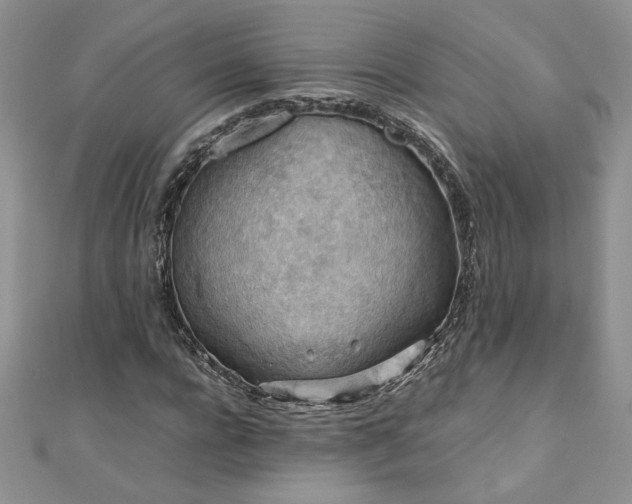 X0000110930920200906181426