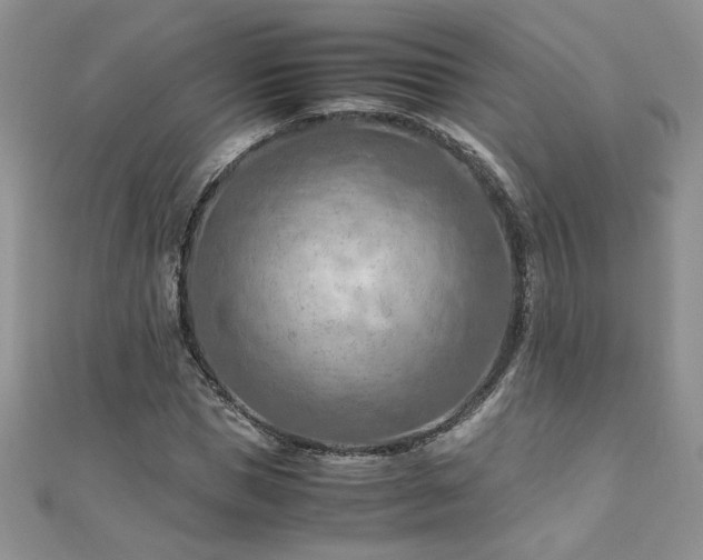 X0000110930921200906181426