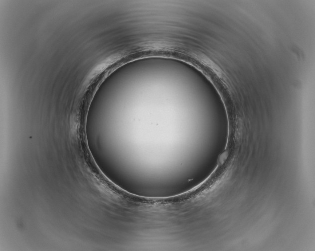 X0000110930922200906181426