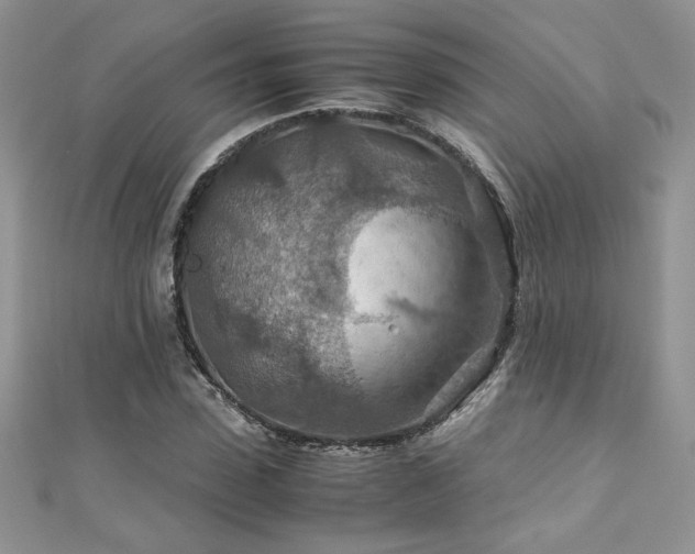 X0000110930923200906181426