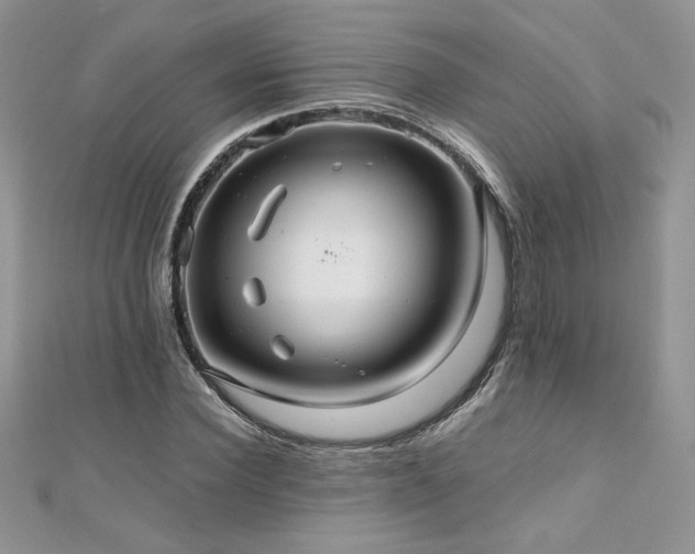 X0000110930924200906181426