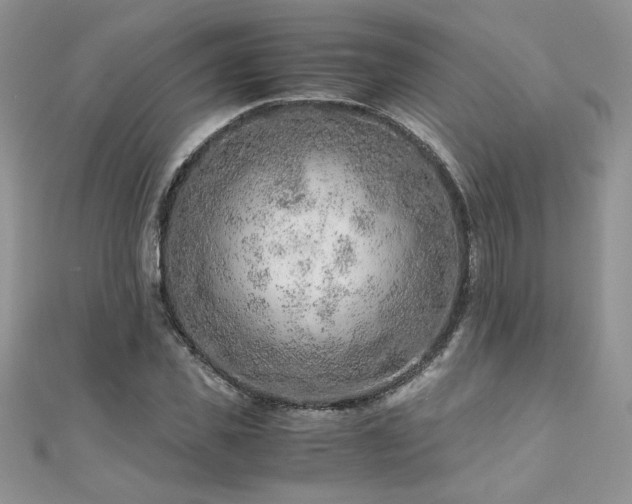 X0000110930925200906181426