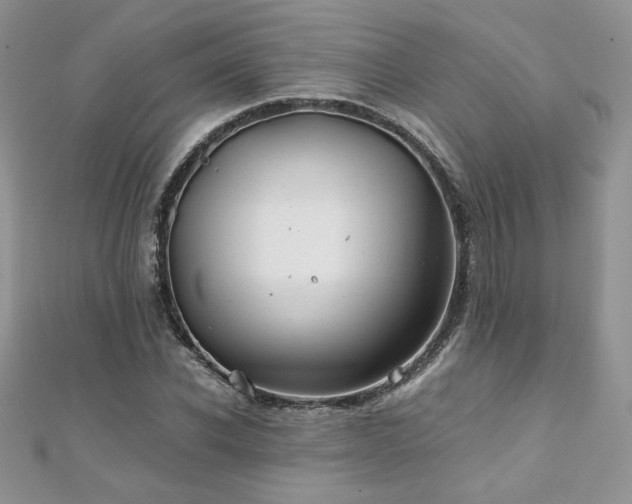 X0000110930926200906181426