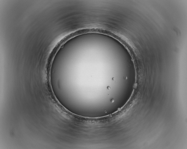 X0000110930927200906181426