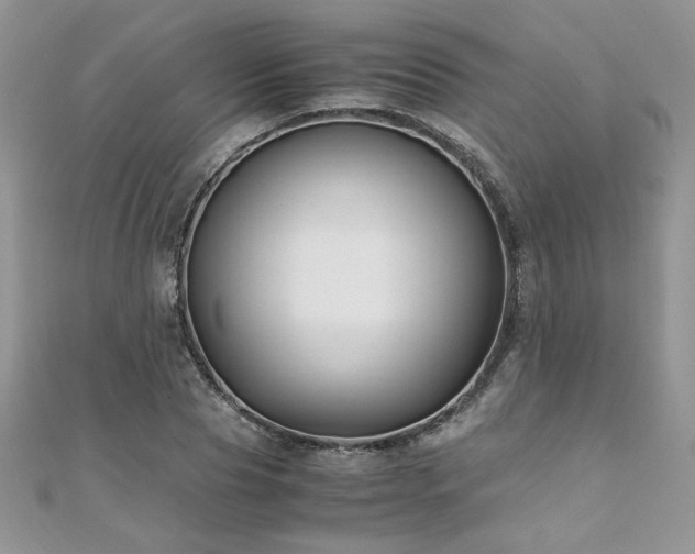 X0000110930929200906181426