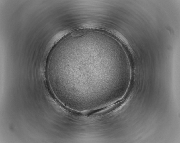 X0000110930930200906181426