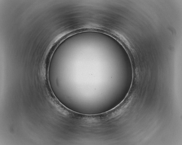 X0000110930931200906181426