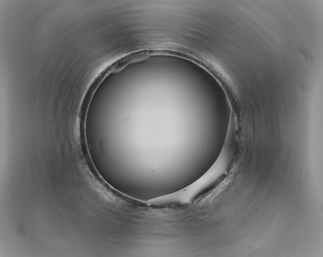 X0000110930932200906181426