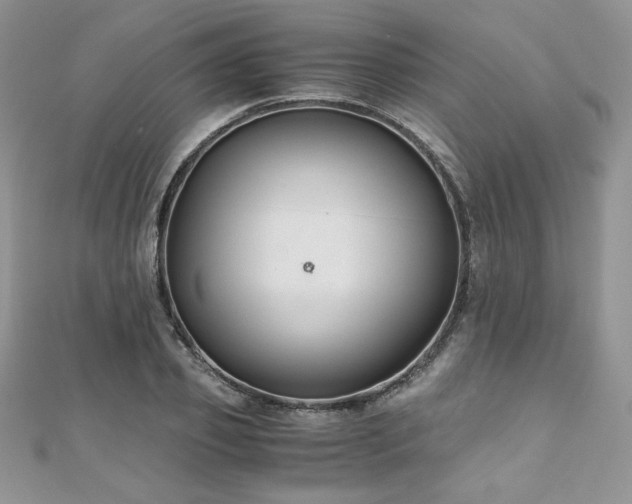 X0000110930933200906181426