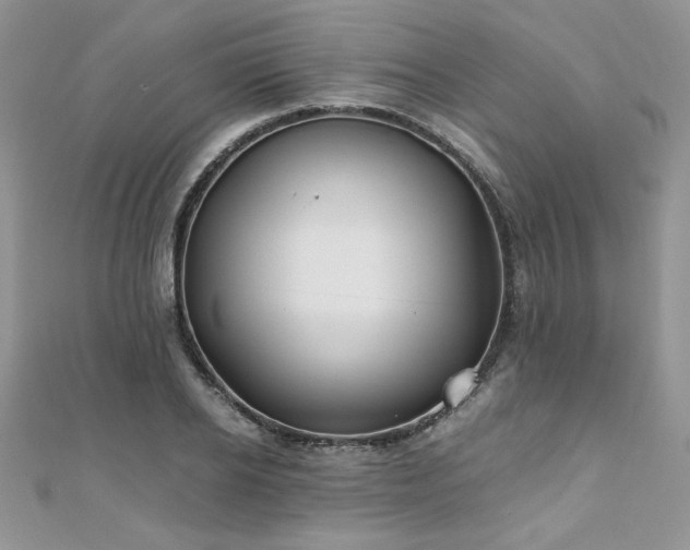 X0000110930934200906181426