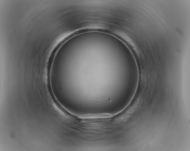 X0000110930935200906181426